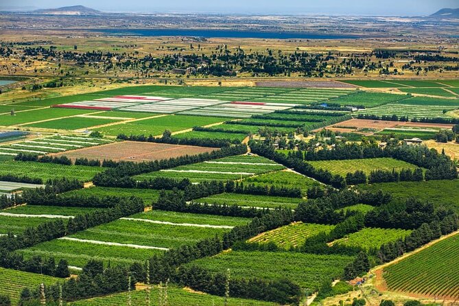 Golan Heights Day Trip from Jerusalem - Katzrin Village and the 6th-Century Synagogue: The Part You Will Remember