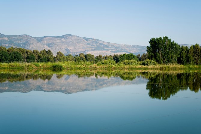 Golan Heights Day Trip from Tel Aviv - Morning logistics: early start, air-conditioned comfort, mobile ticket