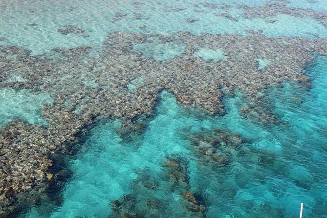 Introductory Dive in Eilat - Where You Meet Aqua Star and How the Timing Works