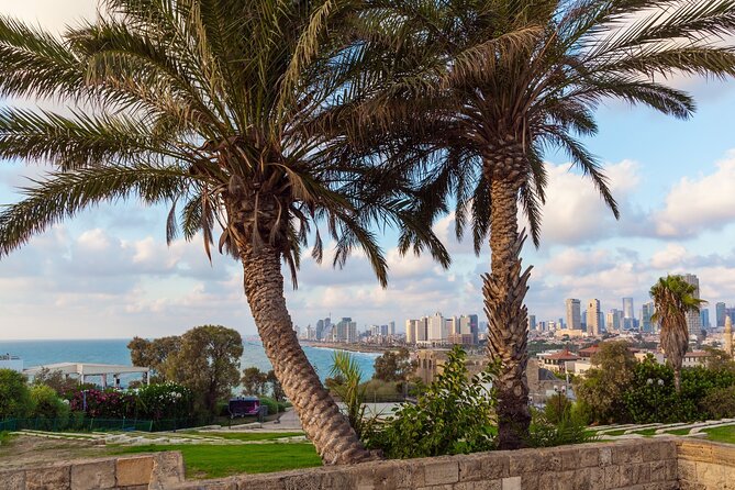 Jaffa and Neve Tzedek walking tour - Why Jaffa to Neve Tzedek plus Bauhaus in Tel Aviv Works