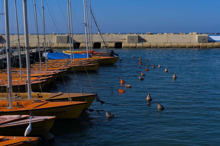 Jaffa: Old City, Port & Shuk Hapishpishim Walking Tour - Walking logistics: stairs, hills, and rain-soaked Old City footing
