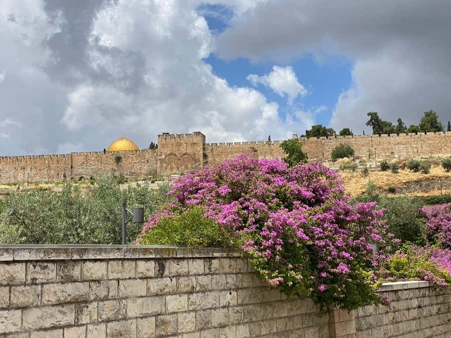 Jerusalem: 3-Hour Old City Tour in French - Why this 3-hour Old City walk feels more understandable than a list of sights