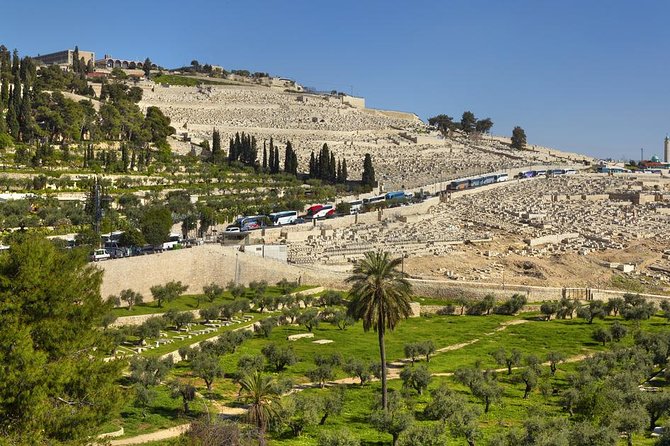Jerusalem Half-Day Tour from Tel Aviv: Holy Sepulchre and Western Wall - Via Dolorosa and the Stations of the Cross: A Tight Time Window