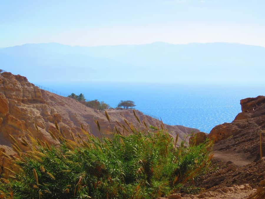 Jerusalem: Masada, Ein Gedi & Dead Sea Tour - Price and entrance fees: the $89 covers the ride and guide, not the gate tickets