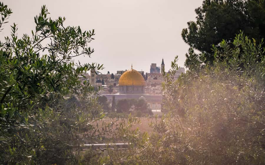 Jerusalem: Mount of Olives Guided Tour - Walking the Downhill Route With Purpose (and Sunscreen-Level Patience)