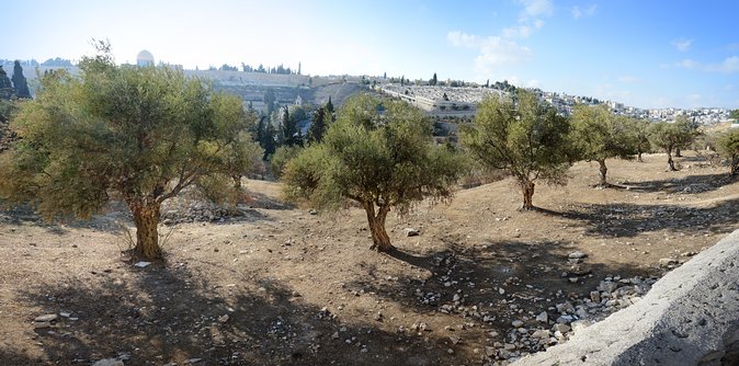 Jerusalem Old City - The Guide Factor: What Makes the Tour Feel First Class