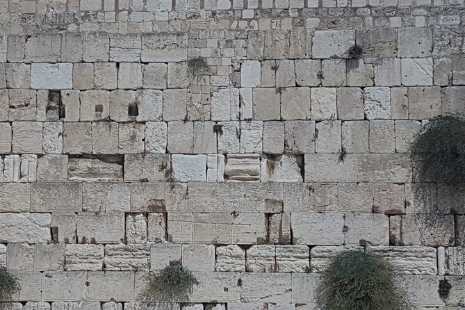 Jerusalem Private Full Day Tour - Church of São Estevão, the Old City walls, and the Cenacle
