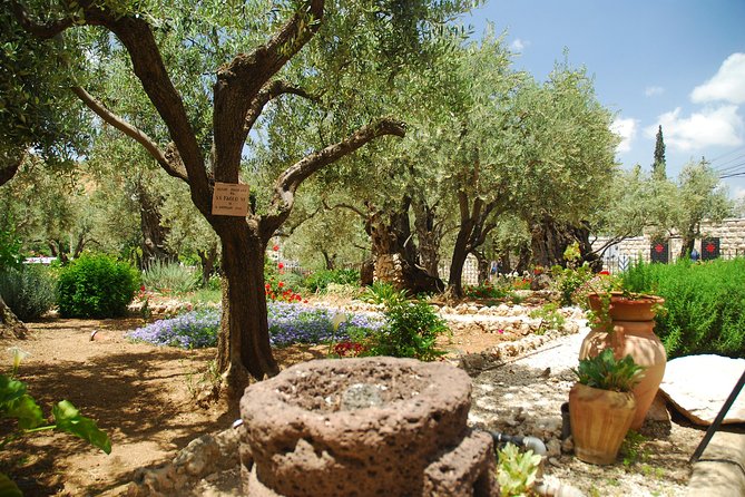 Jerusalem Tour from Tel Aviv: In the Footsteps of Jesus - Entering the Old City through Lion’s Gate: time to actually wander