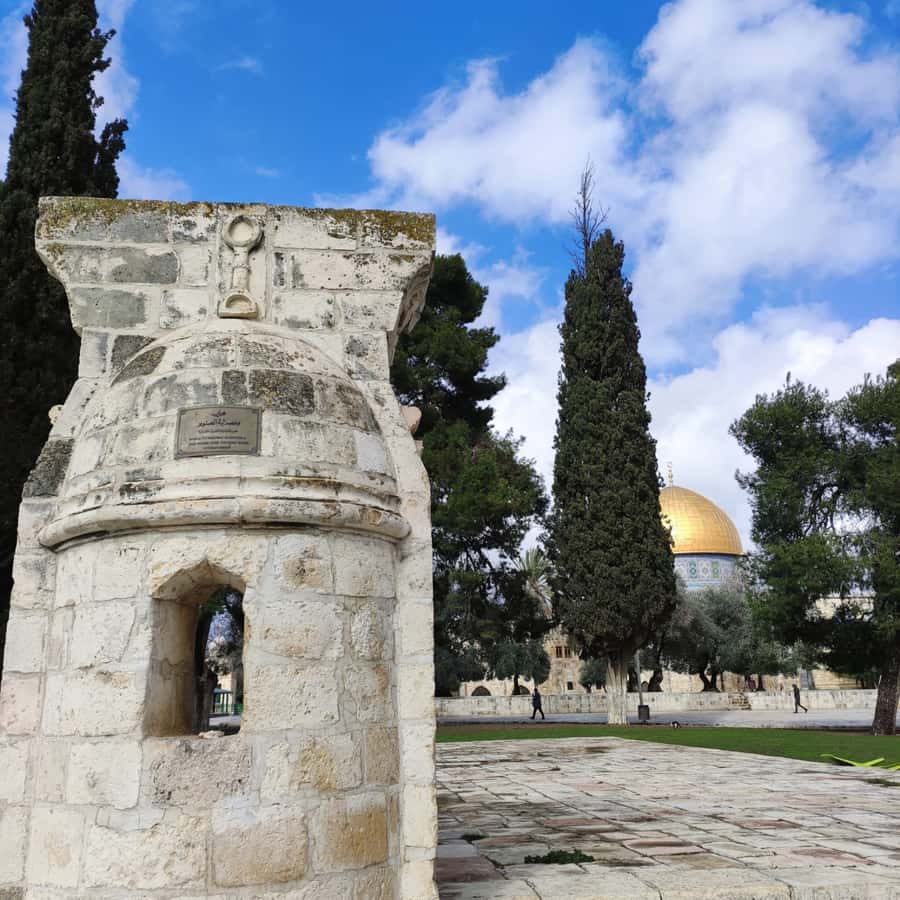 Jerusalem: Tour with Private Guide - Who This Tour Suits Best, and Who Should Rethink It