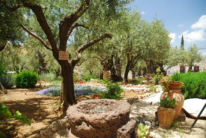 Jerusalem Walking Tour: In the Footsteps of Jesus - The Mount of Olives: viewpoint first, then Gospel landmarks