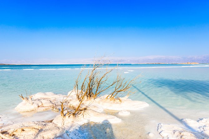 Masada and Dead Sea from Tel Aviv - Stop 2: Dead Sea Floating and Why Minerals Keep People Coming Back