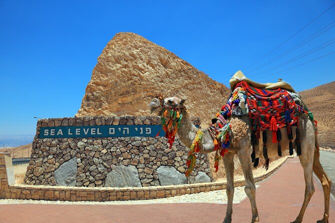 Masada & Dead Sea tour from Tel Aviv - ALL ENTRANCE FEES INCLUDED - The Dead Sea Stop: How 35% Salinity Changes What You Actually Do