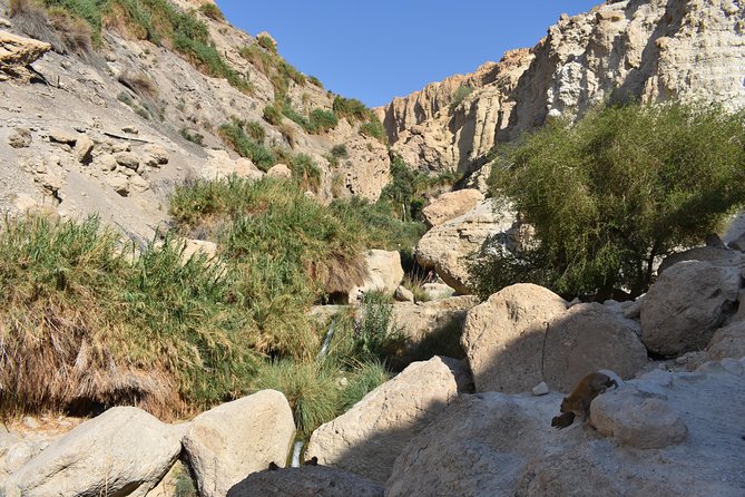 Masada, Ein Gedi, and The Dead Sea from Tel Aviv - Price and the real cost of doing it