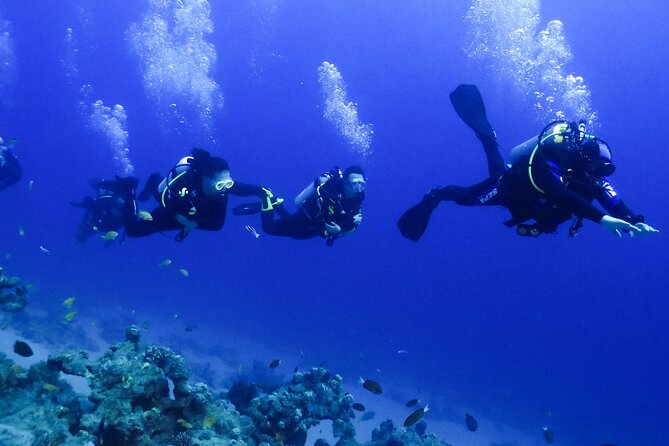 PADI Open Water Diver Course - 5 Days Scuba Diving - Confined water sessions: where you build control without stress