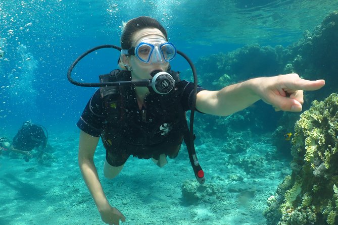 PADI Open Water Diver Course - 5 Days Scuba Diving - Open water sessions on the coral reef: applying skills for real