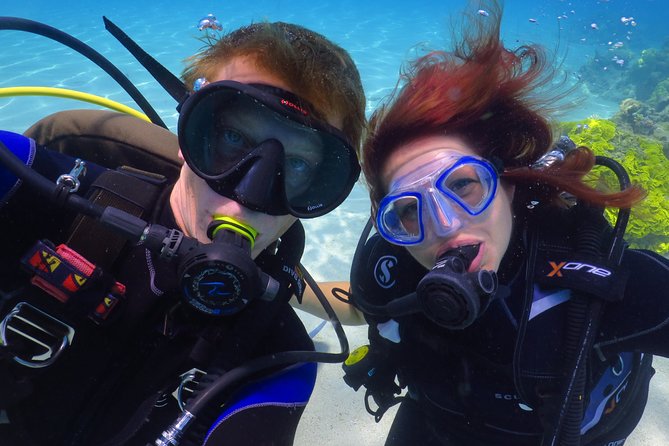 PADI Open Water Diver Course - 5 Days Scuba Diving - Instruction quality and small-group attention (the thing people seem happiest about)