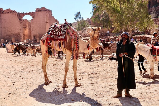 Petra 1-Day Tour from Tel Aviv with FREE Authentic Lunch - Lunch strategy on a long travel day