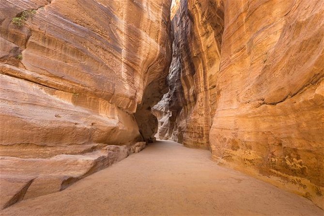 Petra and Wadi Rum 2 day Tour from Eilat - Price and What You Really Need to Budget From Eilat