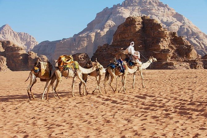 Petra & Wadi Rum 3 Days 2 Tour Nights from Eilat border - Day 3: the 4x4 jeep safari route in Wadi Rum, plus an optional camel hour