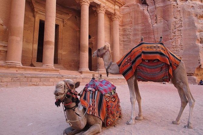 Petra & Wadi Rum 3 Days 2 Tour Nights from Eilat border - The people factor: guides, punctuality, and why it shows up in your day