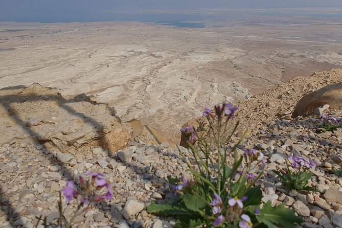Private Day Tour in Masada and the Dead Sea - Ein Gedi Waterfall: A Short Hike to David Waterfall in a Year-Round Oasis
