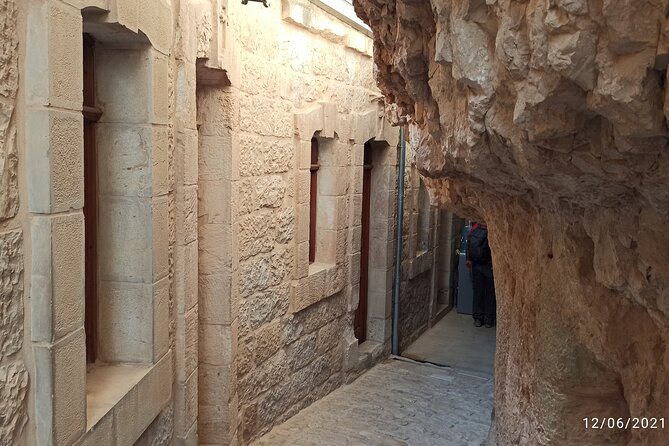 private Full-day Tour to Jericho + the Dead Sea - Zaccheus’ Tree, a short stop that can still land