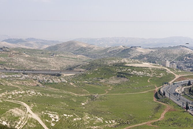Private Israeli Wines Tour of the Central Israel - A Tel Aviv to Carmel Wine Day That Feels Like You Have a Local Friend in the Car