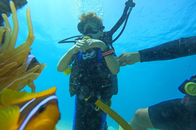 Private Scuba Diving Tour with Transportation and Guide - Private Transportation and Gear Setup: The Stuff That Saves Your Energy