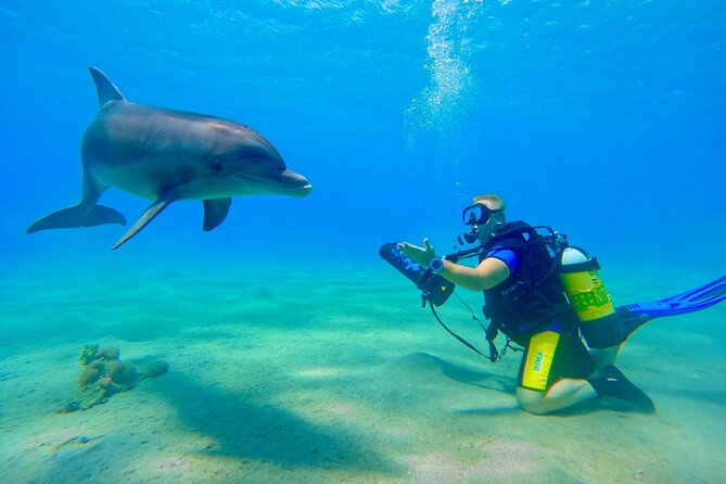 Private Scuba Diving Tour with Transportation and Guide - Refresher Coaching for Beginners and Comebacks