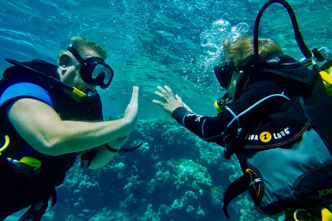 Private Scuba Diving Tour with Transportation and Guide - Navy Shipwrecks and Aquatic Life: What You Get on the Red Sea