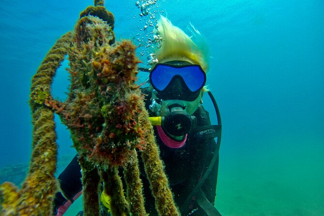 Private Scuba Diving Tour with Transportation and Guide - Photos and Videos You Can Actually Use as a Souvenir