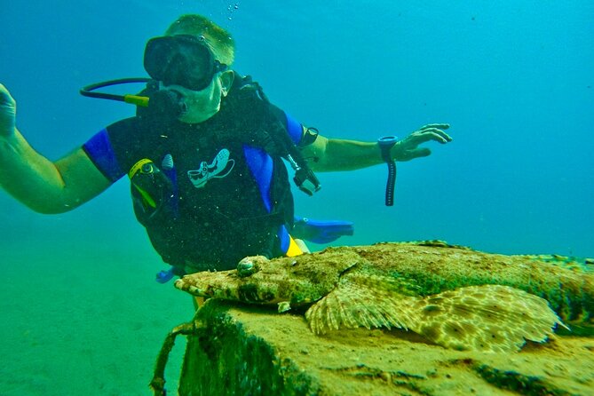 Private Scuba Diving Tour with Transportation and Guide - Who Should Book This Private Eilat Scuba Session