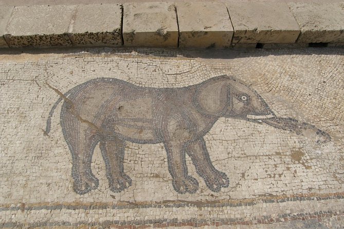 Private tour: Caesarea, Haifa, and Mt. Carmel - Meet Dr. David Gurevich, and Why the Commentary Feels Different
