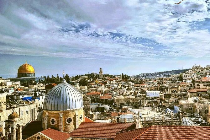 Private Tour from Tel Aviv to Jerusalem - Church of All Nations and the Garden of Gethsemane feel
