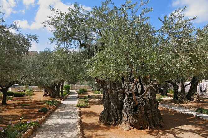 Private Tour : Jerusalem Old city day trip from Jerusalem - Old Jerusalem without the stress: private, tailored, and timed right