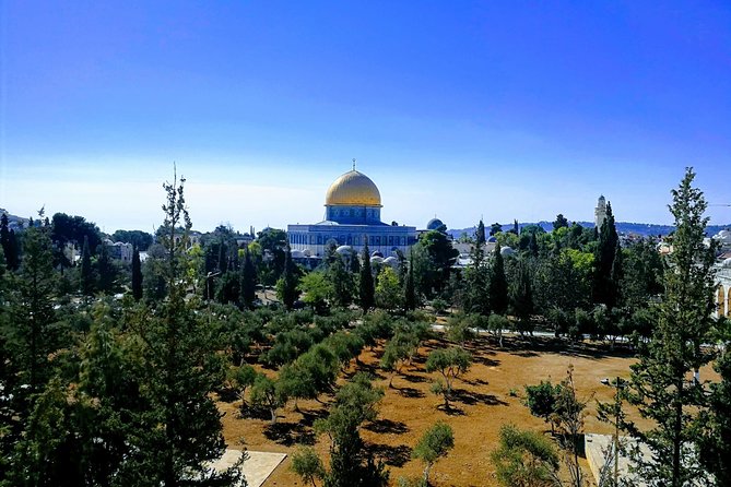 Private Tour: Old City of Jerusalem Christianity Tour - Who This Private Tour Is Best For