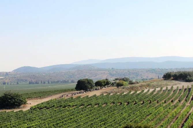 Private wine tour of Northern Israel - Key points to know before you go