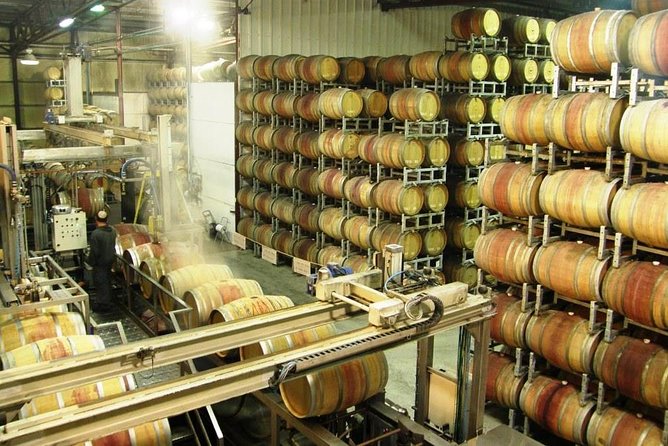 Private wine tour of Northern Israel - Why Northern Israel vines feel different (and why that matters)