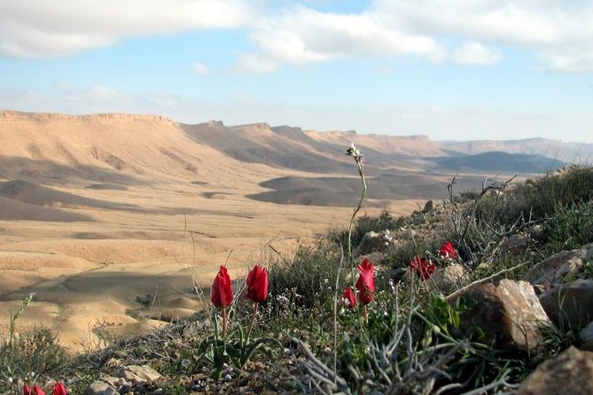 Ramon Crater Jeep Tour from Mitzpe Ramon - Crossing the crater on the pipeline road and the Beerot campground stop