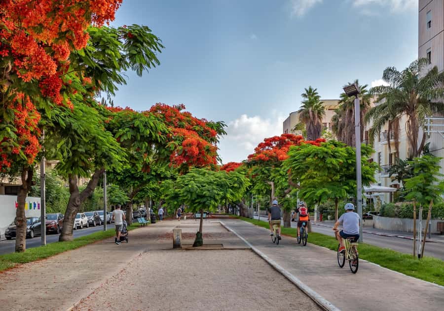 Tel Aviv: Carmel Market & Tel Aviv Tour with Tastings - Herzl Street and Rothschild Boulevard: learning the founders while you walk