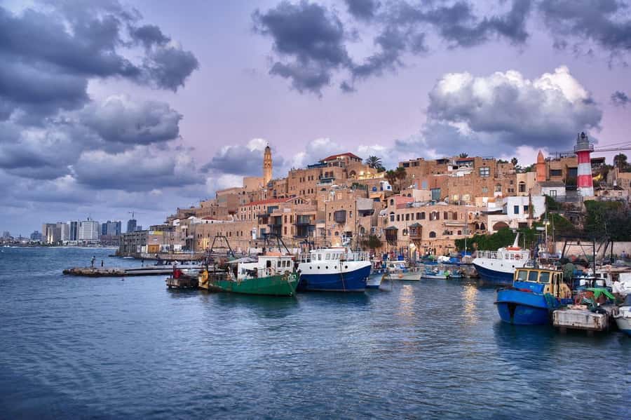 Tel Aviv:Food & History Tour of Jaffa Old City & Flea Market - Why this Tel Aviv food tour in Jaffa works so well