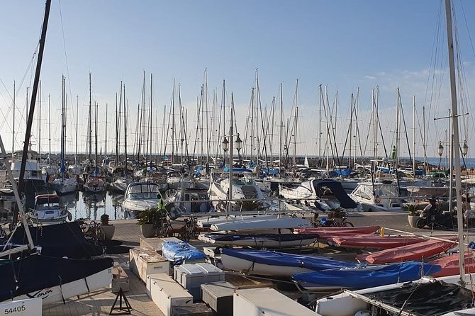 Tel Aviv Highlights Bike Tour - The ride experience: pace, comfort, and how the guide shapes it