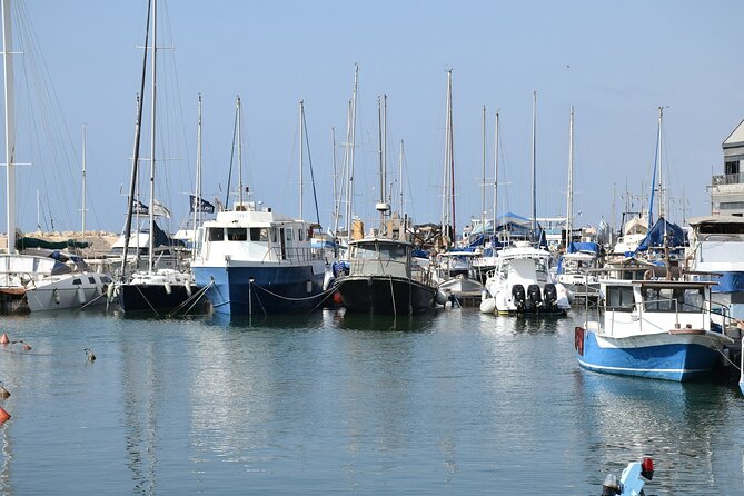 Tel Aviv; Jaffa Old City, Port & Shuk Hapishpishim Walking Tour - Jaffa Port: 3,000 years of harbor life and the best views