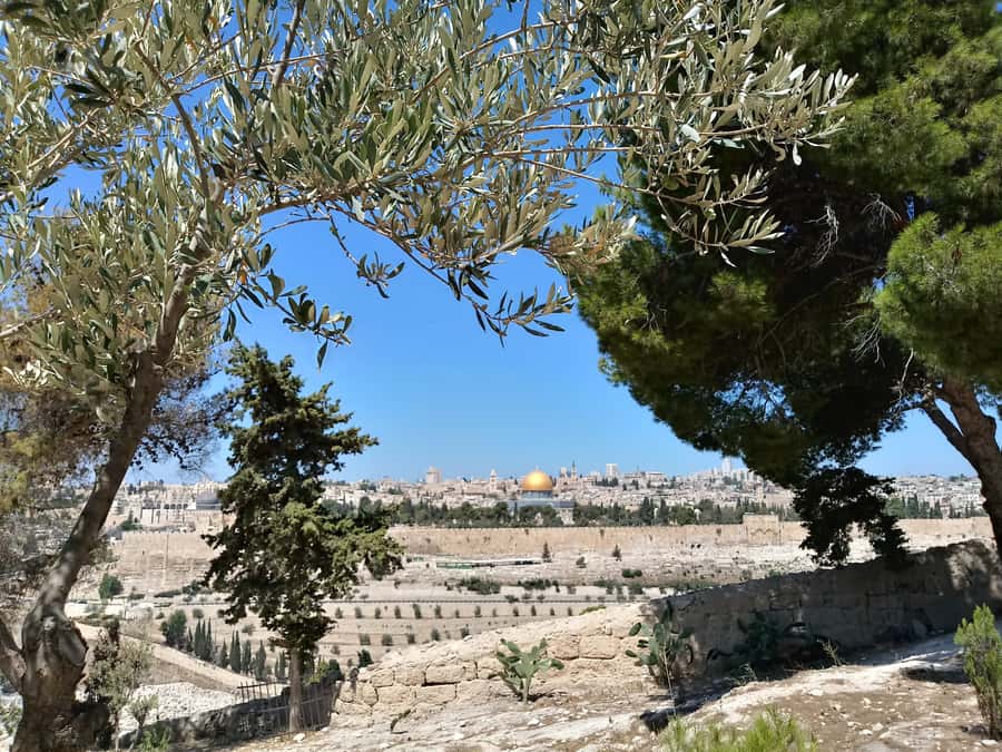 Tel Aviv: Jerusalem, Bethlehem & Dead Sea - The full-day timing from Tel Aviv, and why it feels efficient