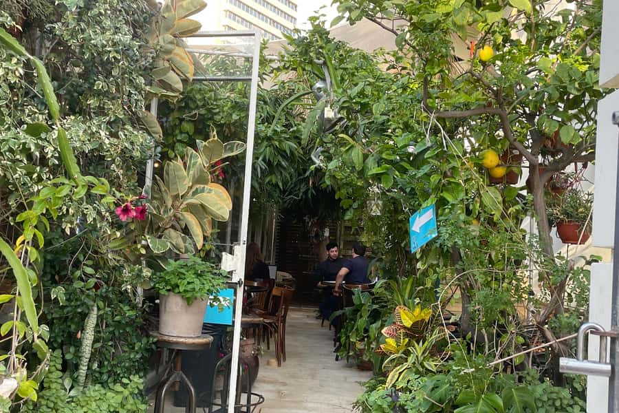 Tel Aviv: Neve Tzedek Cultural Walking Tour - The Suzanne Dellal Center: dance culture with real presence