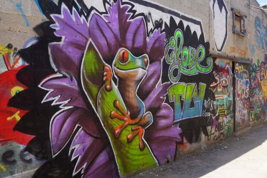 Tel Aviv: Street Art and Graffiti Tour - Florentine vs HaMesila Park, which route fits your mood