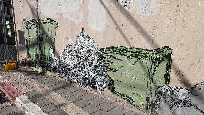 Tel Aviv Street Art Tour - Group walk rules: what to expect in a 25-person shared tour