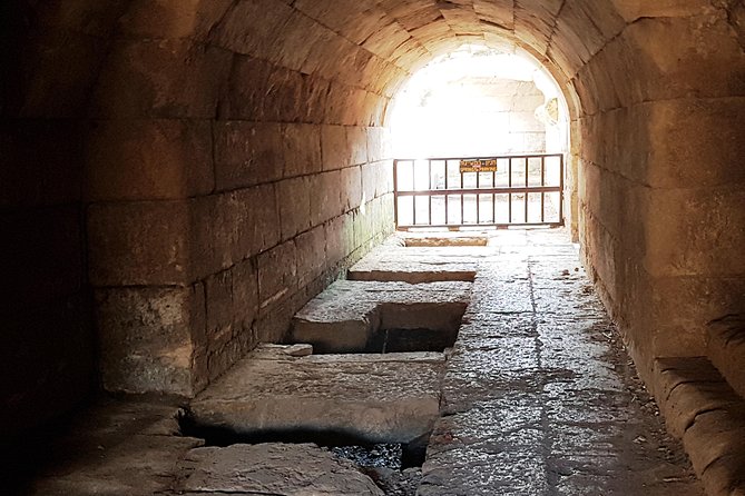 Tel Dan and Baniyas National Parks Private Tour - What to Bring and How to Plan Your Day