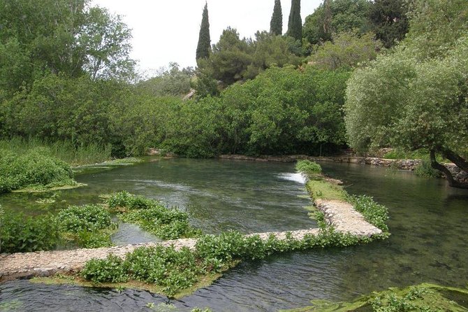 Tel Dan and Baniyas National Parks Private Tour - Morning Pickup to a Full-Day Rhythm From Tel Aviv