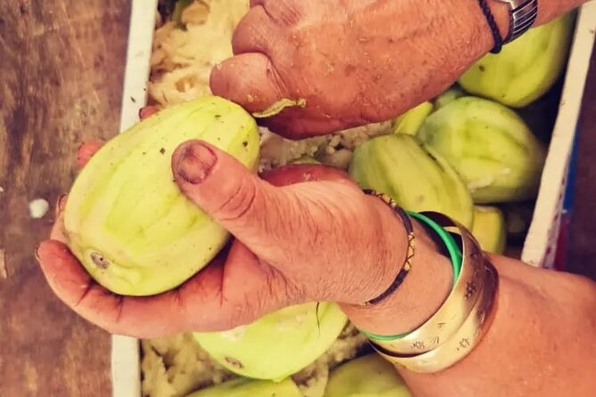 VIP Culinary Tour in Haifa - Key Highlights You Will Feel Fast